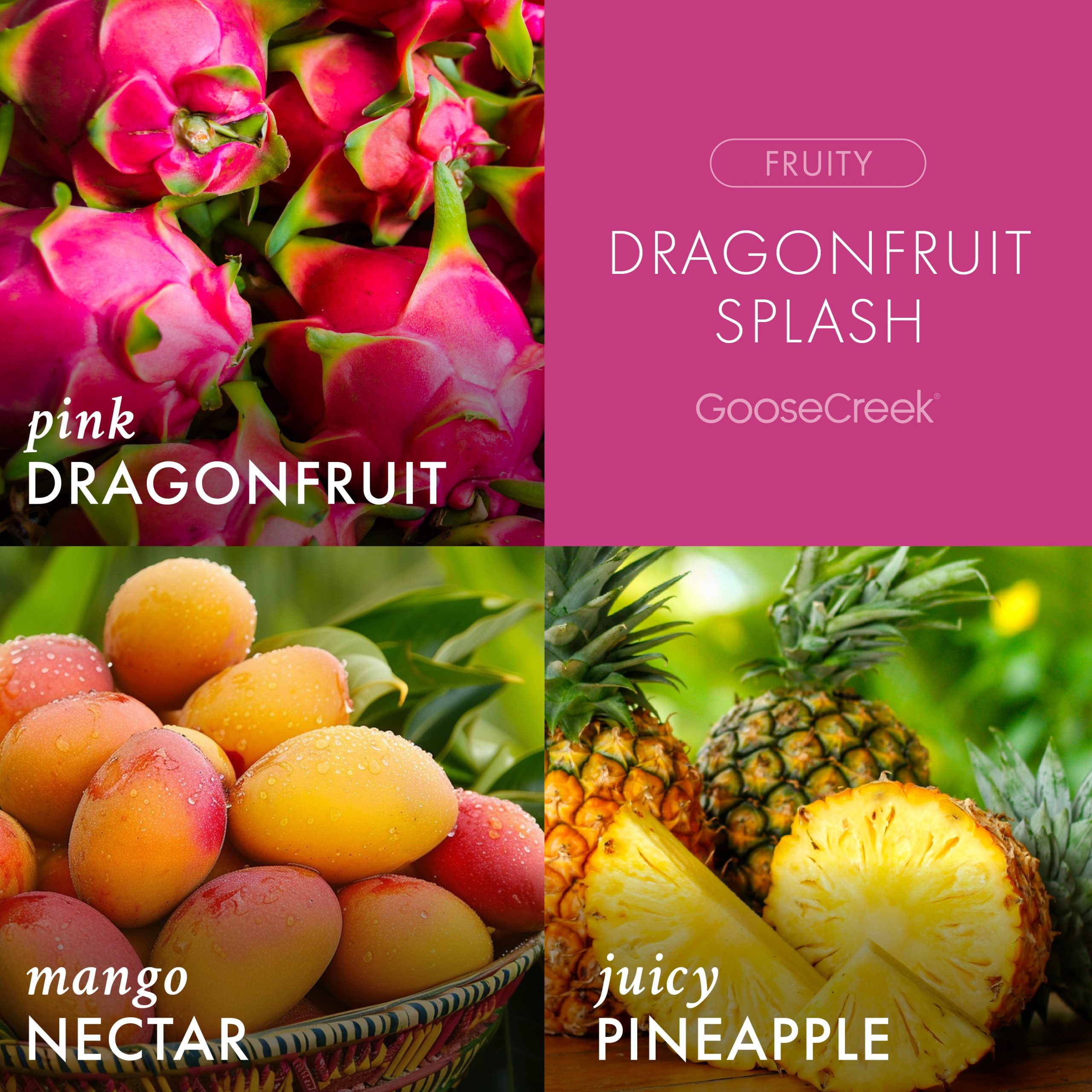Dragonfruit Splash Odor Eliminating 7oz Single Wick Candle - Image 2