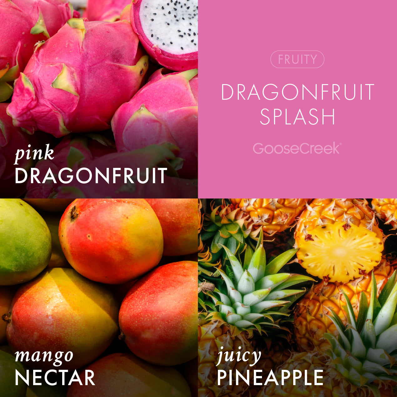 Dragonfruit Splash Odor Eliminating Plug-in Refill - Image 2