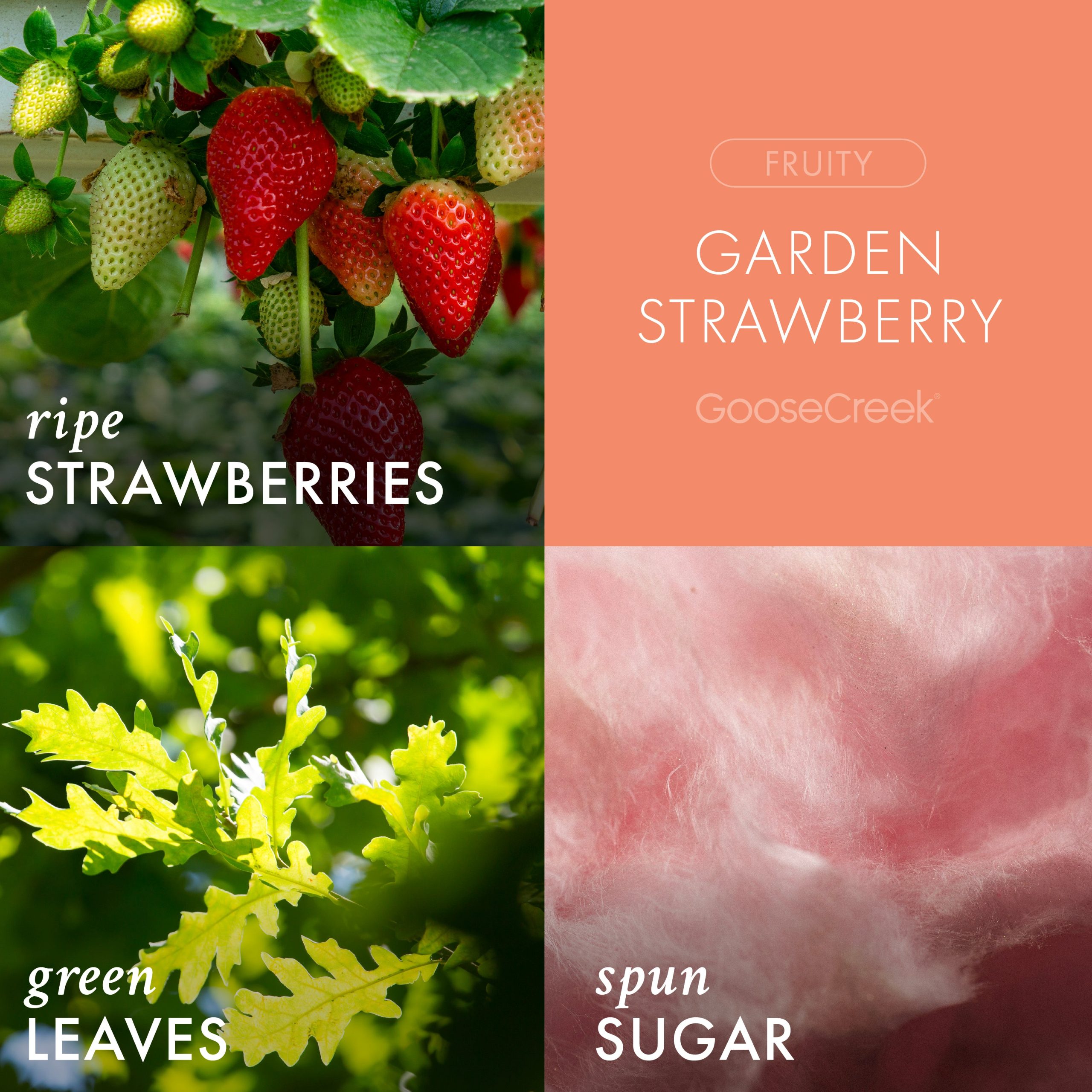 Garden Strawberry Odor Eliminating Room Spray - Image 2