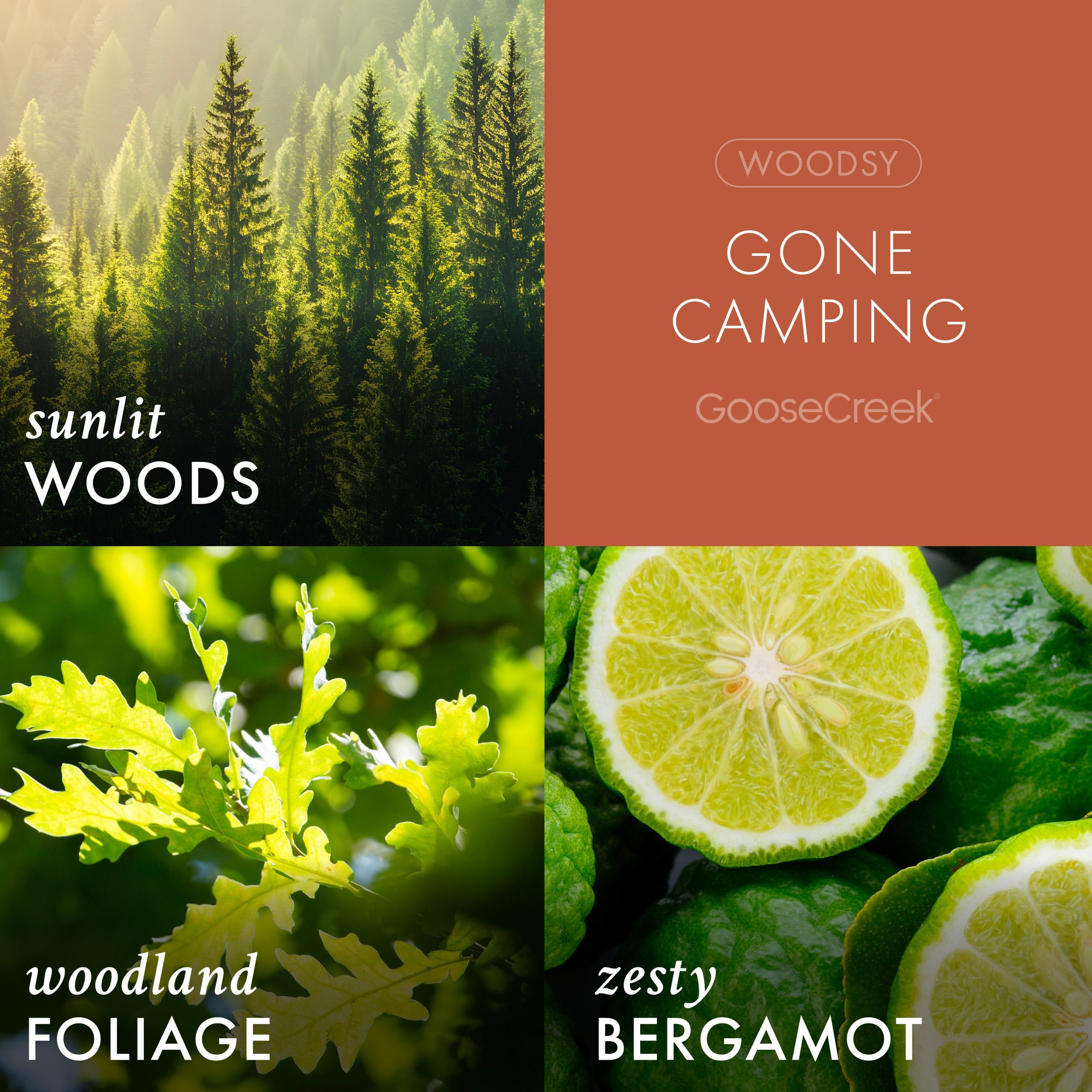 Gone Camping Odor Eliminating Room Spray - Image 2