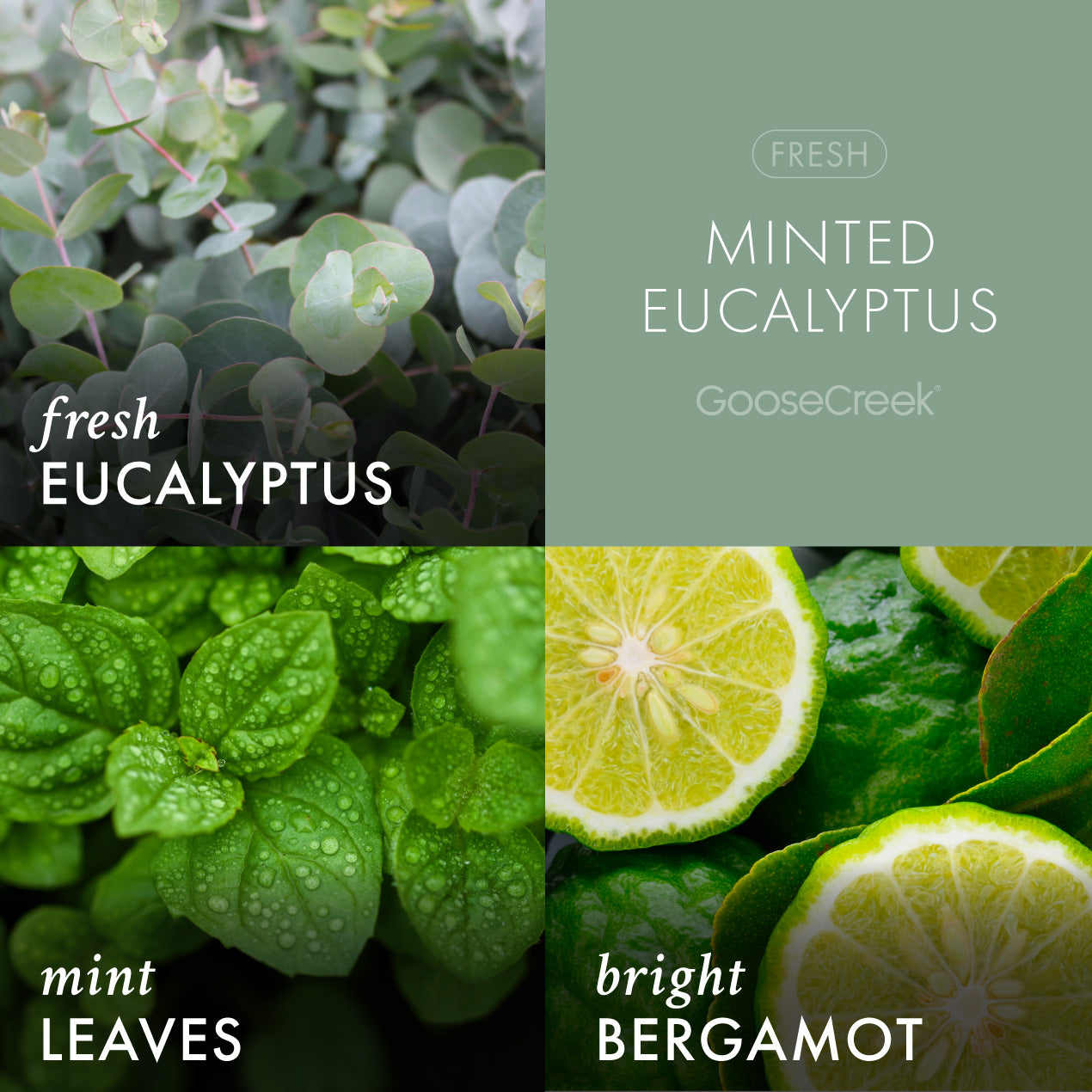 Minted Eucalyptus Wax Melt - Image 2