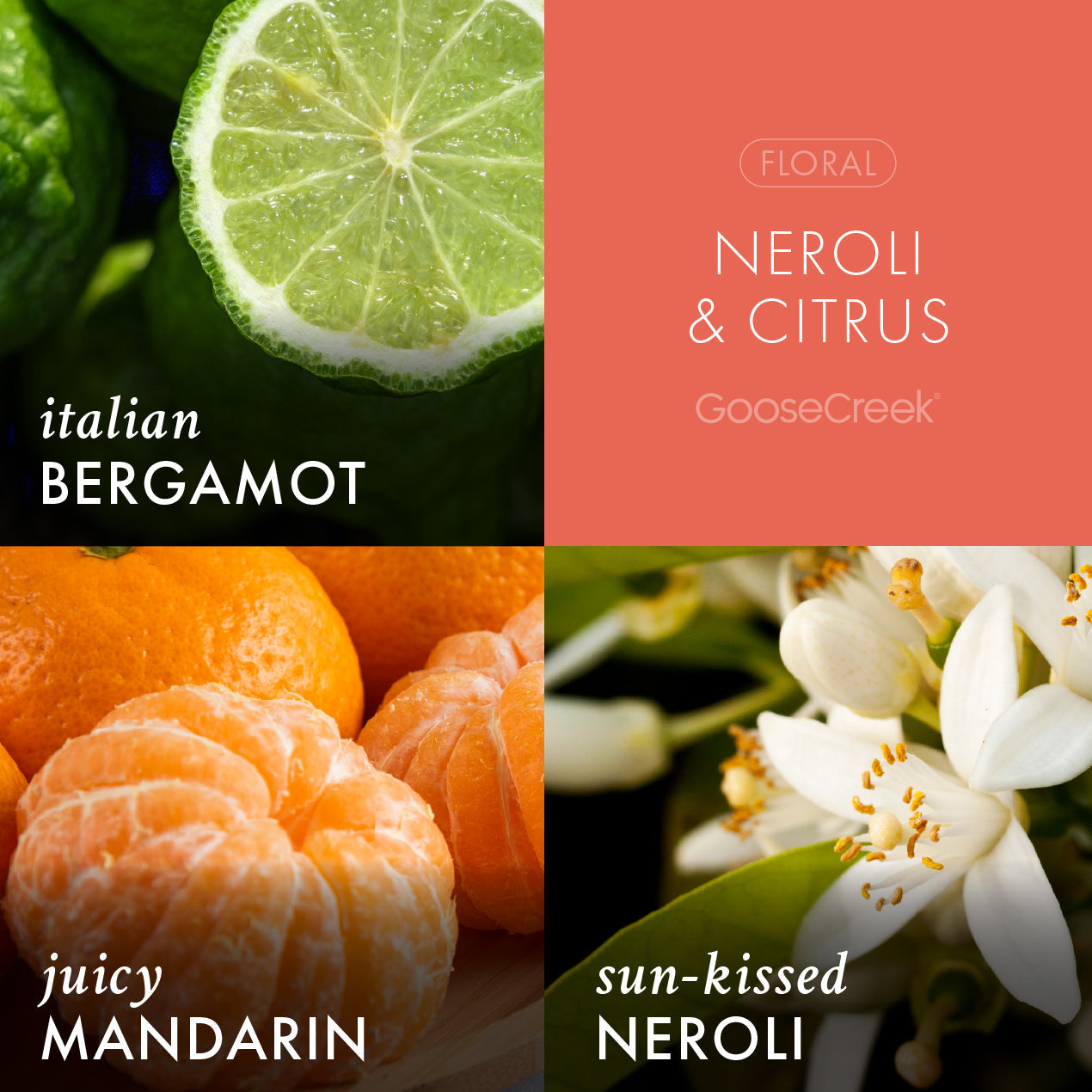 Neroli & Citrus Aromatherapy 3-Wick Candle - Image 2
