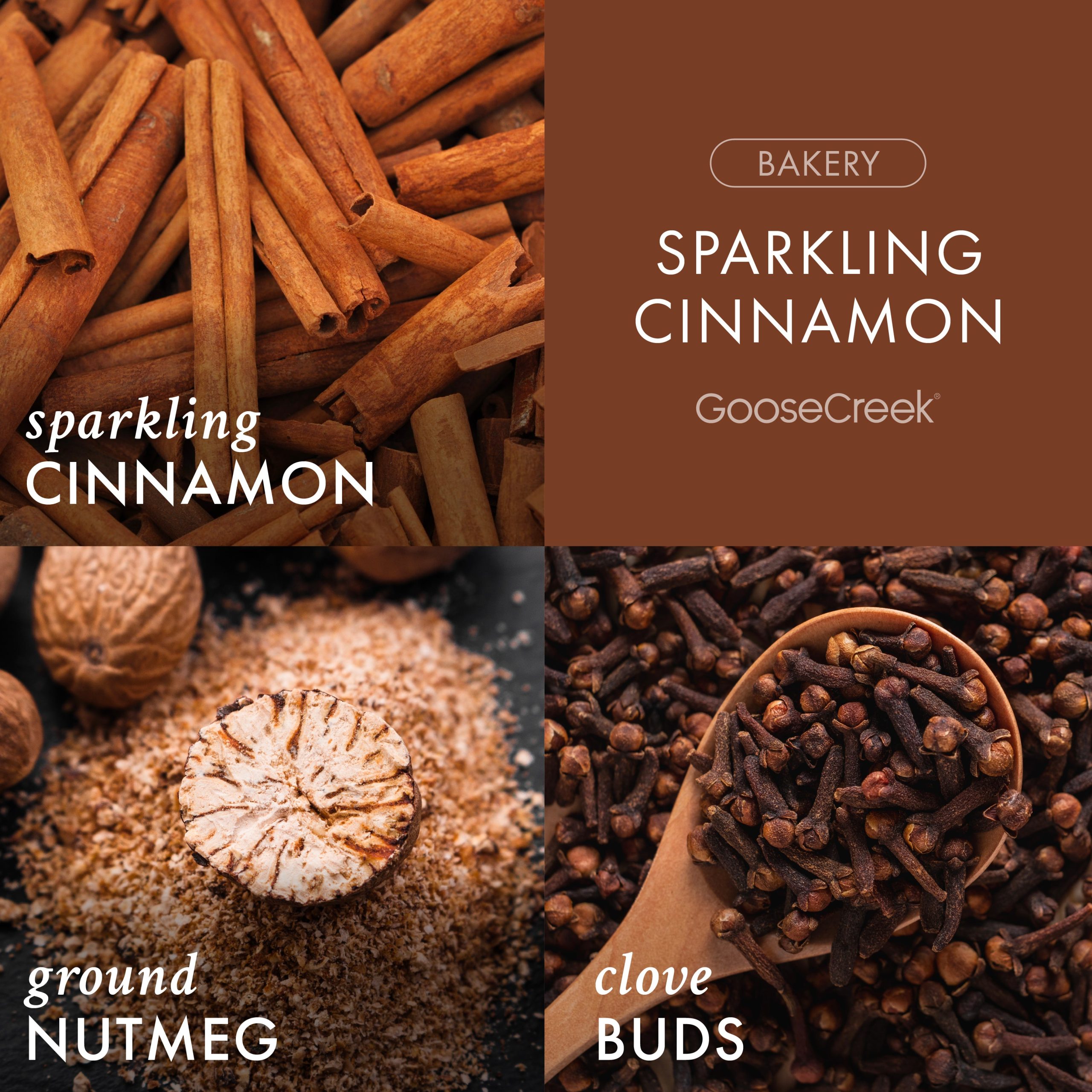 Sparkling Cinnamon Wax Melt - Image 2