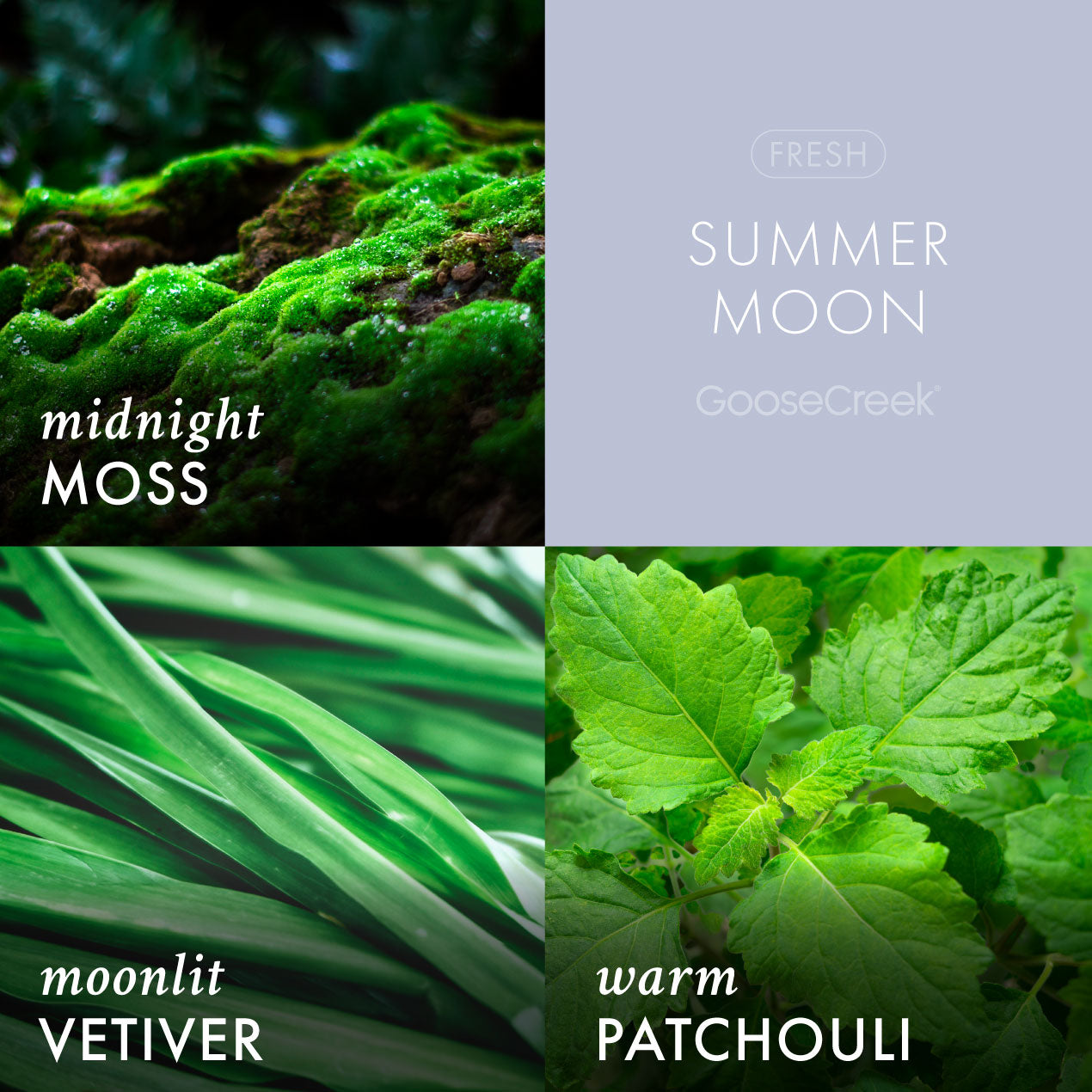 Summer Moon Wax Melt - Image 2