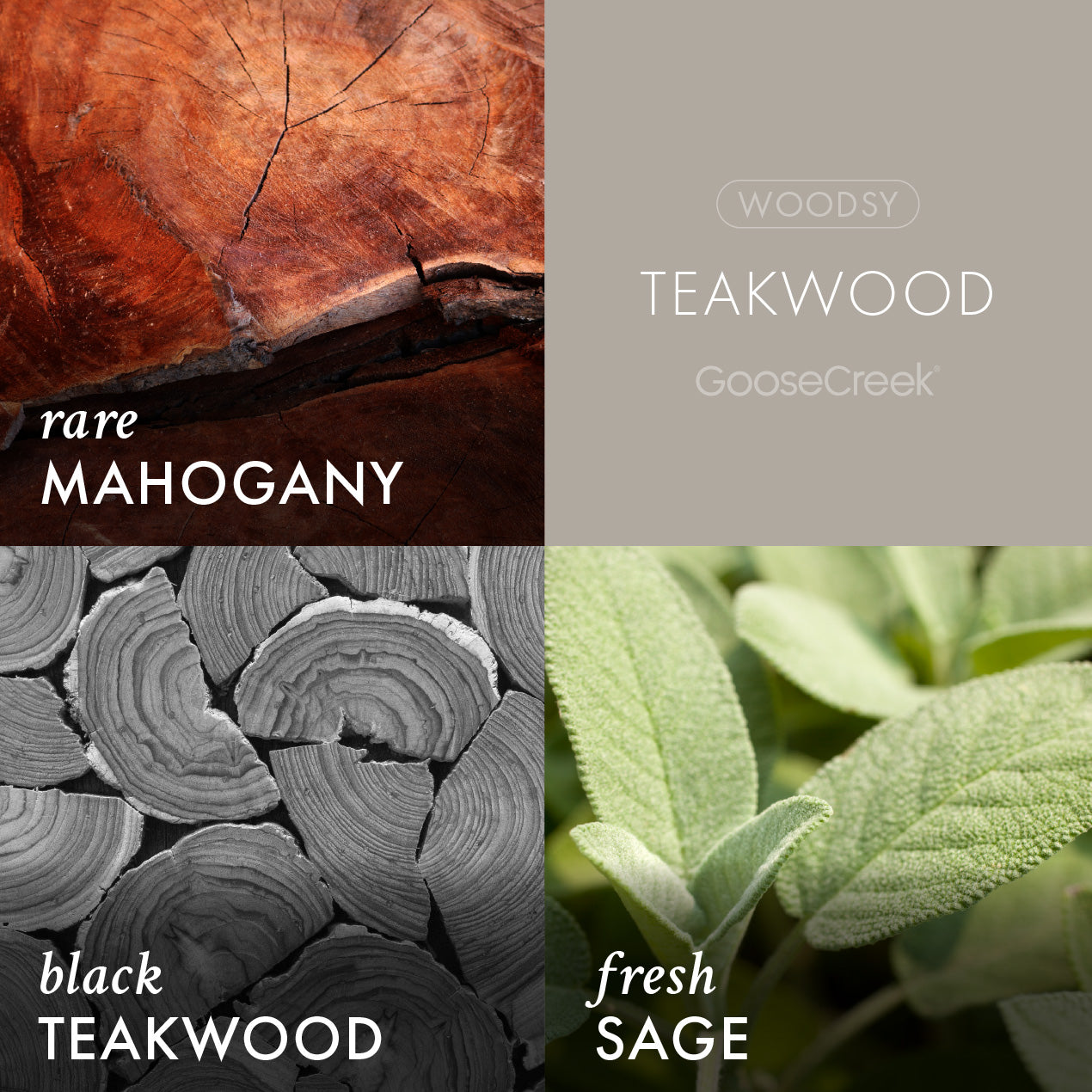 Teakwood Plug-in Refill - Image 2