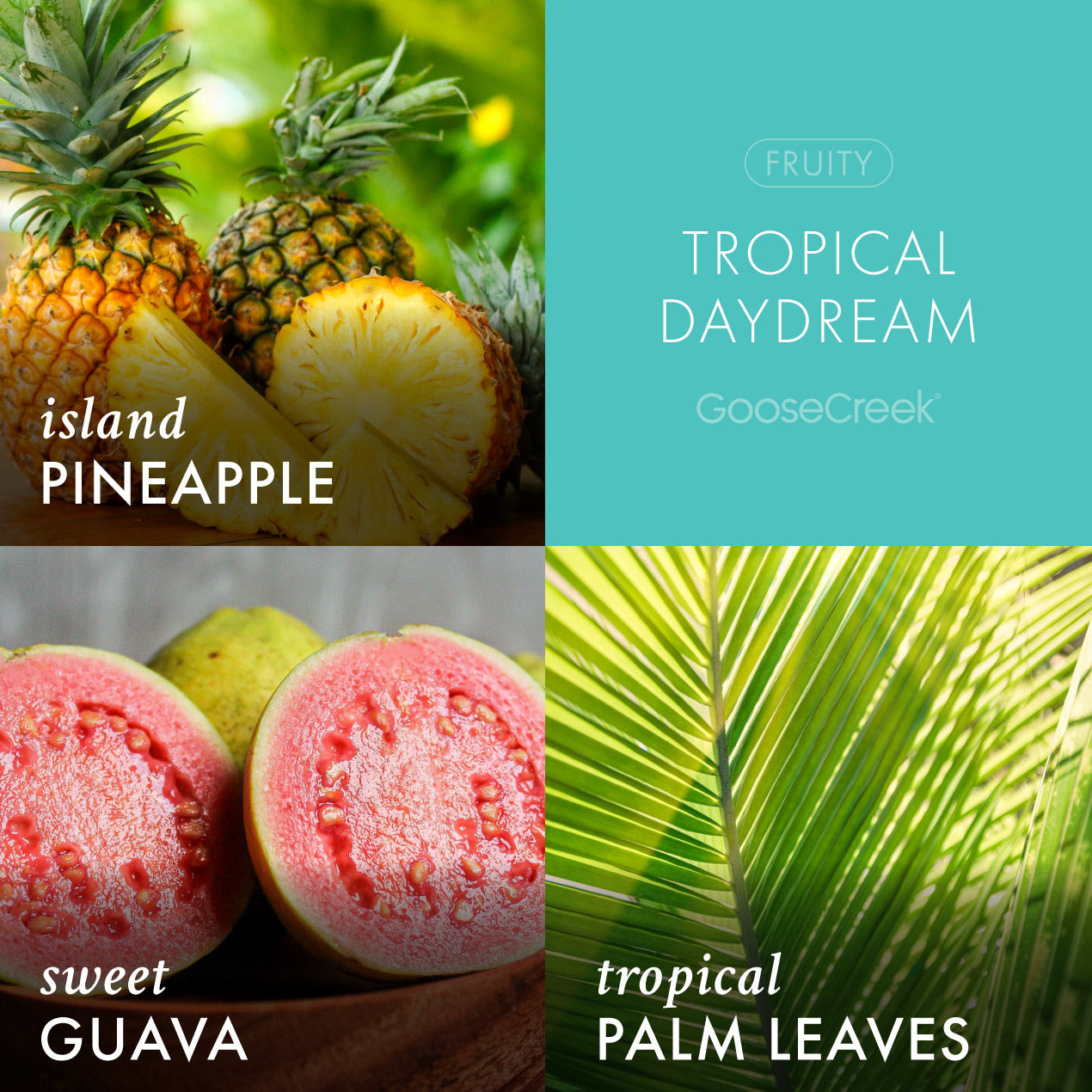 Tropical Daydream Plug-in Refill - Image 2