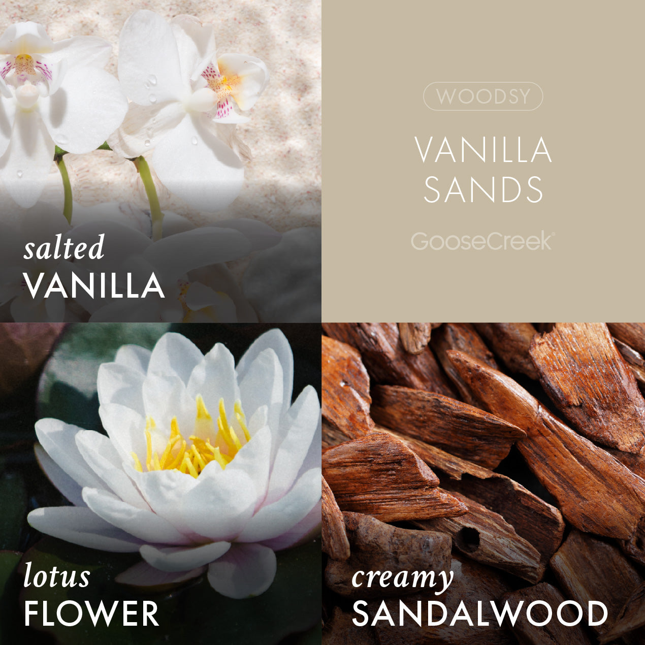 Vanilla Sands Plug-in Refill - Image 2
