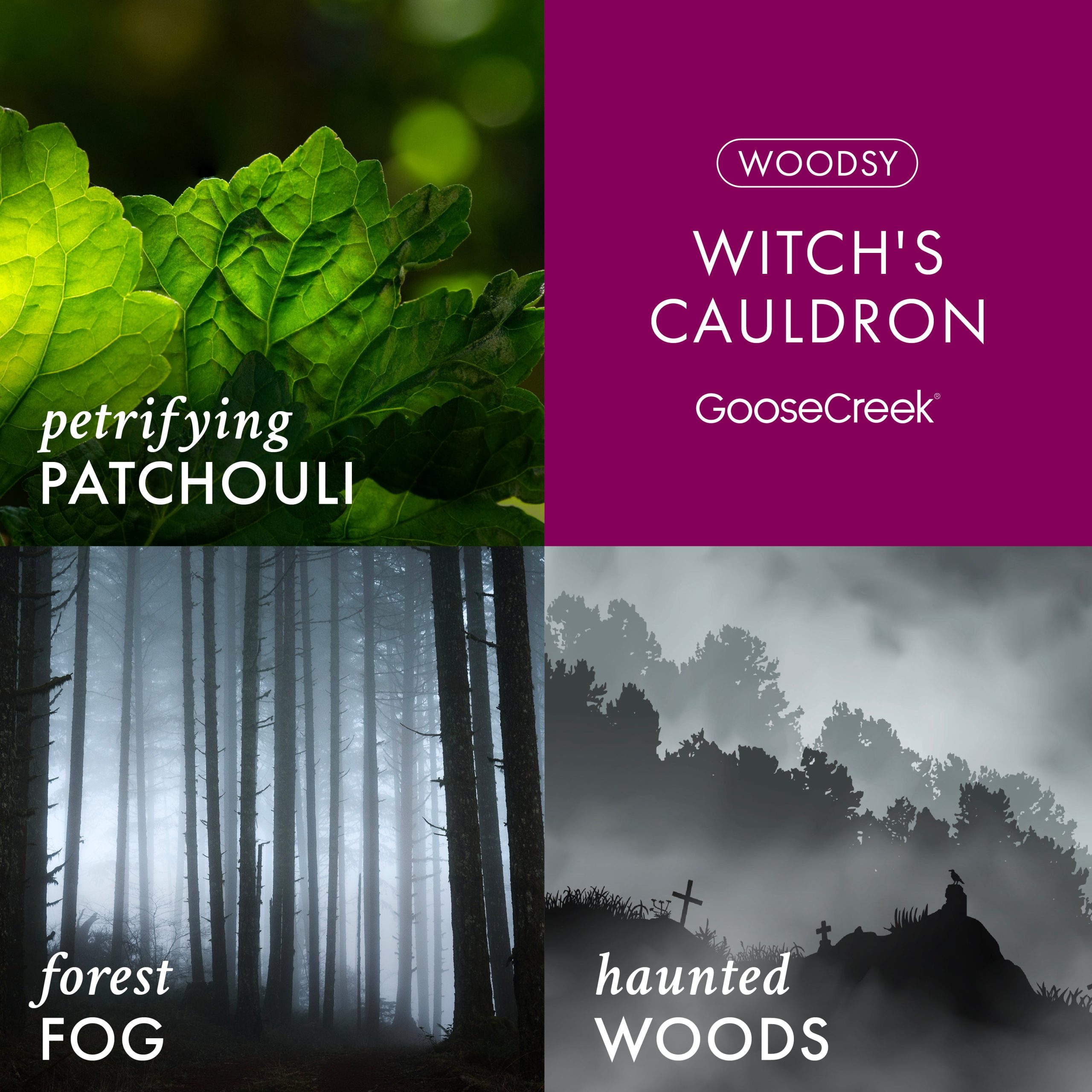 Witch's Cauldron 3-Wick Candle - Image 2